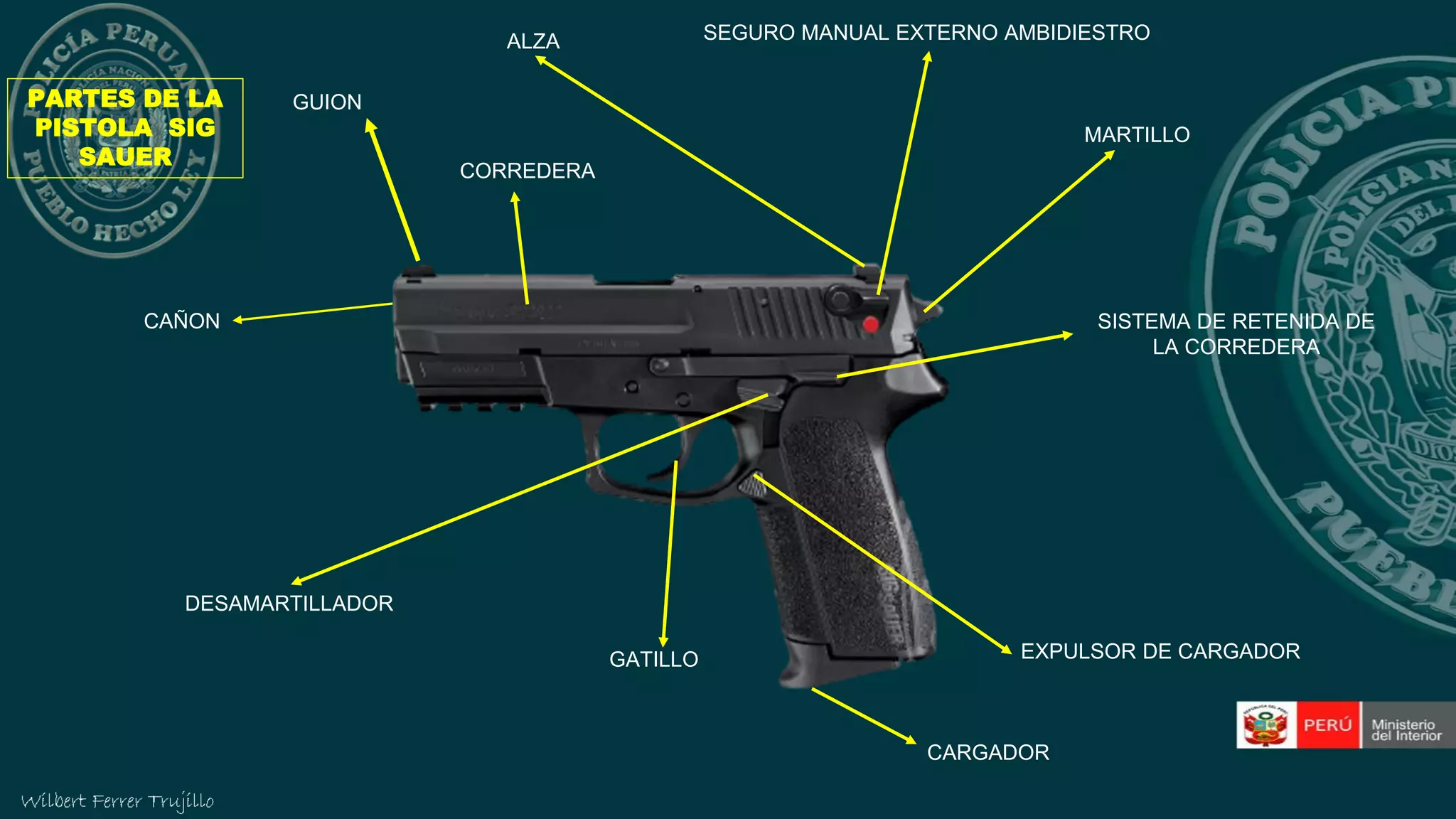 LECCION DE USO DE LA PISTOLA SIG SAUER MODELO SP 2022 EN SEGURIDAD Y PROTECCION.pdf