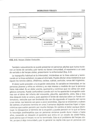 Lecciones de Dermatología