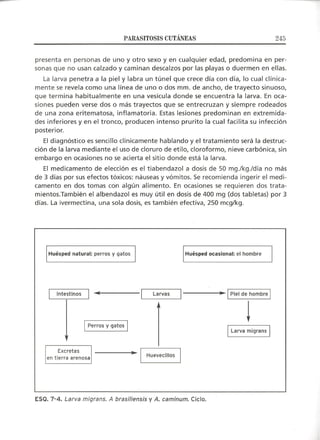 Lecciones de Dermatología
