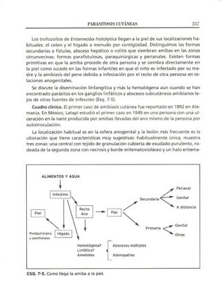 Lecciones de Dermatología