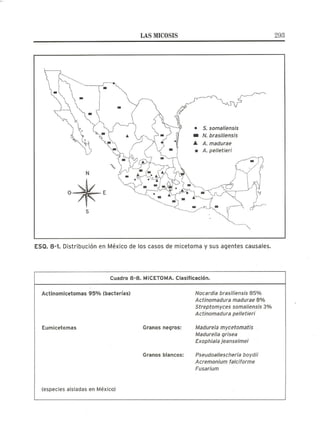 Lecciones de Dermatología