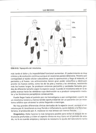 Lecciones de Dermatología