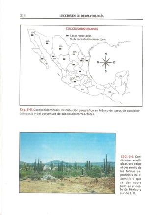Lecciones de Dermatología