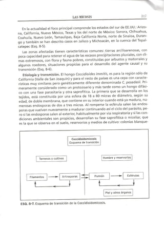 Lecciones de Dermatología