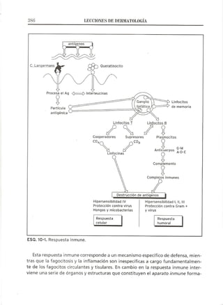 Lecciones de Dermatología