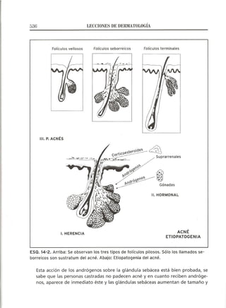 Lecciones de Dermatología