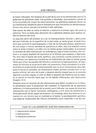 Lecciones de Dermatología