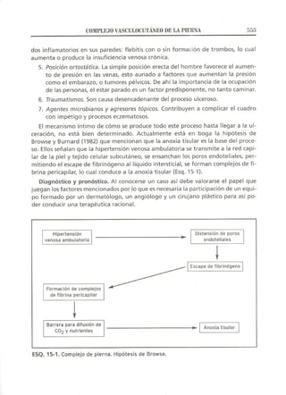 Lecciones de Dermatología