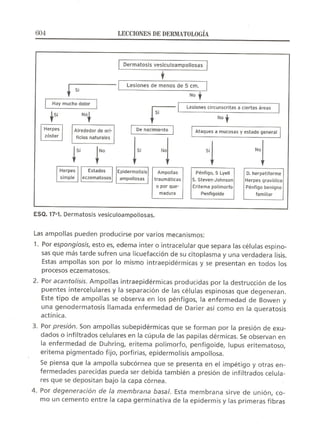 Lecciones de Dermatología