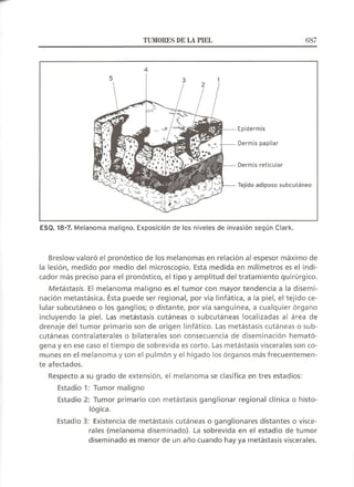 Lecciones de Dermatología