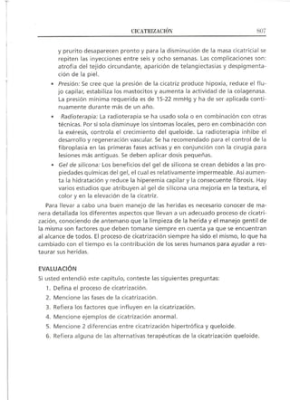 Lecciones de Dermatología