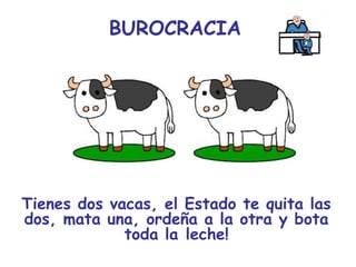 BUROCRACIA




Tienes dos vacas, el Estado te quita las
dos, mata una, ordeña a la otra y bota
             toda la leche!
 