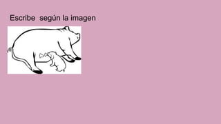 Escribe según la imagen
 