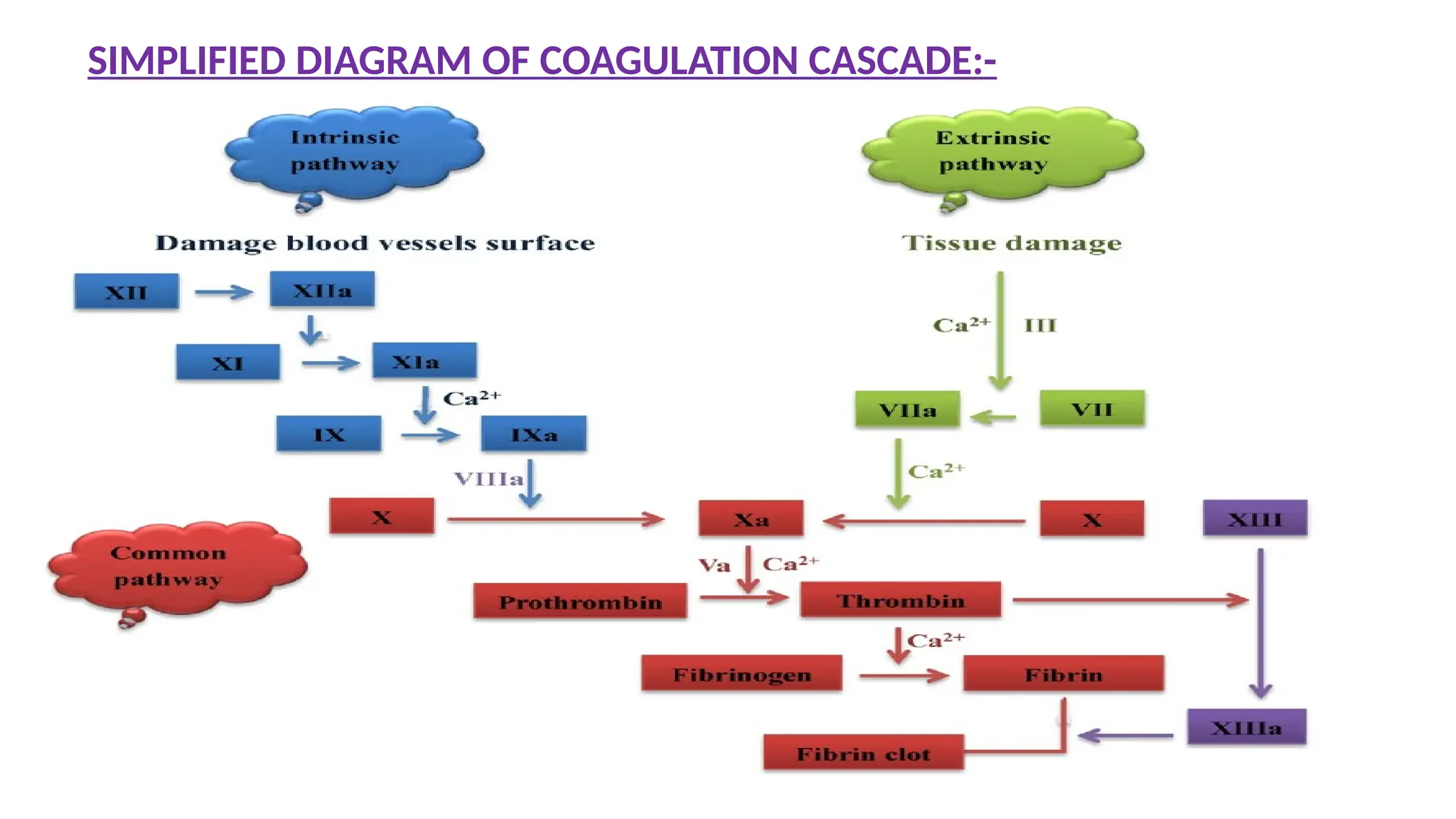 SIMPLIFIED DIAGRAM OF COAGULATION CASCADE:-
 