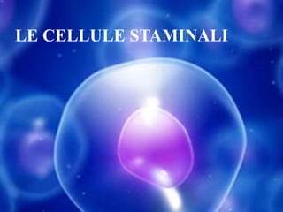 LE CELLULE STAMINALI
 