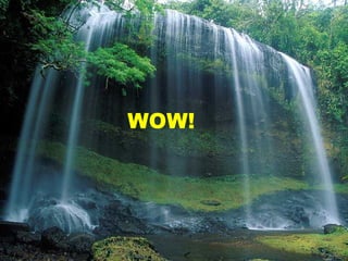 WOW! 