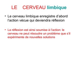 Le cerveau limbique enregistre d’abord l’action vécue qui deviendra réflexion   La réflexion est ainsi soumise à l’action: le cerveau ne peut résoudre un problème que s’il expérimente de nouvelles solutions   LE  CERVEAU   limbique 