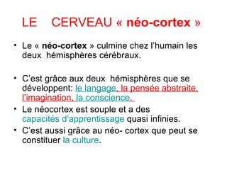LE  CERVEAU  «  néo-cortex  »   Le «  néo-cortex  » culmine chez l’humain les deux  hémisphères cérébraux.  C’est grâce aux deux  hémisphères que se développent:  le langage , la pensée abstraite, l’imagination,  la conscience .  Le néocortex est souple et a des  capacités d’apprentissage  quasi infinies.  C’est aussi grâce au néo- cortex que peut se constituer  la culture . 