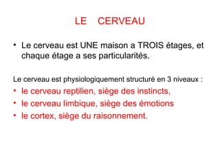 LE  CERVEAU Le cerveau est UNE maison a TROIS étages, et chaque étage a ses particularités.  Le cerveau est physiologiquement structuré en 3 niveaux :  le cerveau reptilien, siège des instincts,  le cerveau limbique, siège des émotions le cortex, siège du raisonnement. 