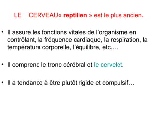 LE  CERVEAU «  reptilien  » est le plus ancien . Il assure les fonctions vitales de l’organisme en contrôlant, la fréquence cardiaque, la respiration, la température corporelle, l’équilibre, etc…. Il comprend le tronc cérébral et  le cervelet . Il a tendance à être plutôt rigide et compulsif… 