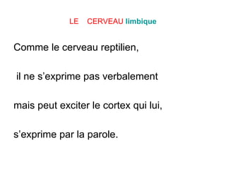 LE  CERVEAU   limbique Comme le cerveau reptilien, il ne s’exprime pas verbalement  mais peut exciter le cortex qui lui,  s’exprime par la parole. 