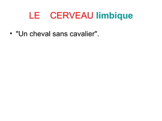 "Un cheval sans cavalier".  LE  CERVEAU   limbique 