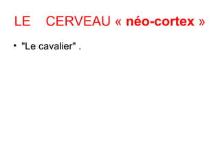 "Le cavalier" .  LE  CERVEAU  «  néo-cortex  »   