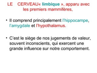 LE  CERVEAU «  limbique  », apparu avec les premiers mammifères,  Il comprend principalement  l’hippocampe ,  l’amygdale  et  l’hypothalamus. C’est le siège de nos jugements de valeur, souvent inconscients, qui exercent une grande influence sur notre comportement. 
