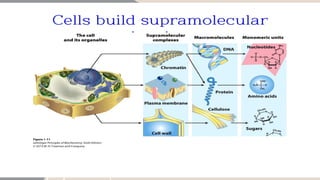 Structure Cell Press Comprehensive Overview of Cell Structure and Membrane Biochemistry | PPTX