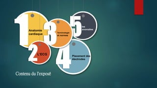 Anatomie
cardiaque
L’ECG
Terminologie
et normes
Placement des
électrodes
les
anomalies
Contenu du l'exposé
 
