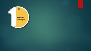 Anatomie
cardiaque
 