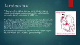 Le rythme sinusal
°° C’est un rythme où la systole, qui prend naissance dans le
noeud sinusal, dépolarise successivement les oreillettes et les
ventricules, à une fréquence de 60 à 100/ mn.
°° L’impulsion prend d'abord naissance dans le noeud sinusal, elle
induit une dépolarisation auriculaire (activation rapide des
oreillettes droite et gauche). La conduction auriculo-ventriculaire
permettra ensuite l’activation ventriculaire, les deux ventricules
étant dépolarisés simultanément.
Sur l’électrocardiogramme, les dérivations D2 et V1 sont les plus
souvent utilisées pour l’étude du rythme cardiaque.
 