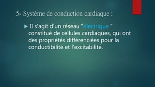 5- Système de conduction cardiaque :
 Il s'agit d'un réseau "électrique "
constitué de cellules cardiaques, qui ont
des propriétés différenciées pour la
conductibilité et l'excitabilité.
 