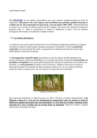 transformateur agrée.



LE CHANVRE est une plante extraordinaire que nous sommes malheureusement en train de
redécouvrir. Elle pousse vite, sans engrais, sans herbicide,sans pesticide, produit beaucoup et
n'abîme pas les sols,et demande très peu d'eau, c'est une plante 100% BIO. Traditionnellement
en france, on se servait du chanvre pour faire des cordages, mais aussi des vêtements (comme les
premiers jeans !). Dans la construction, le chanvre a également sa place. C'est un matériau
écologique, bon marché, non polluant et simple à utiliser.


 III- La Culture du Chanvre


Les chènevis sont semé à partir de début été sur un sol labouré et légérement amélioré au compost
ou fumier, le chanvre craint la gelée ( presque inexistante à la Réunion ). Selon la production
recherchée, une forte densité des semis va augmenter les rendements en tige alors qu'une plus
faible densité va favoriser les graines.


Le développement végétatif rapide (germination, levée) du chanvre étouffe rapidement les
pousses adventices, évitant tout désherbage. La croissance des plants ne nécéssite ni insecticides, ni
pesticides, ni fongicides, bien qu'exceptionnellement des attaques de sclérotinia ou de mildiou sont
possibles. Les rares parasites du chanvre sont l'orobanche, végétal se fixant sur les racines et
diminuant la qualité et la quantité de fibres des plants atteints, et la cuscute, plante s'enroulant
autour de la tige et suçant sa sève. Ils sont enlevés à la main dès leur localisation.




                                       L'Orobanche, parasite du chanvre




Sans beaucoup d'entretien, le chanvre pousse en 100 à 130 jours en france métropolitaine. A la
Réunion, comme il y a très peu de changement de température entre les saisons et selon les
différentes qualités de graines que nous possédons. Ce sera donc des récoltes continues d'une
moyenne de 2 voir 3 récoltes par an au lieu d'une en métropole. Selon les variétés, la plante
atteint trois à cinq mètres de haut.
 