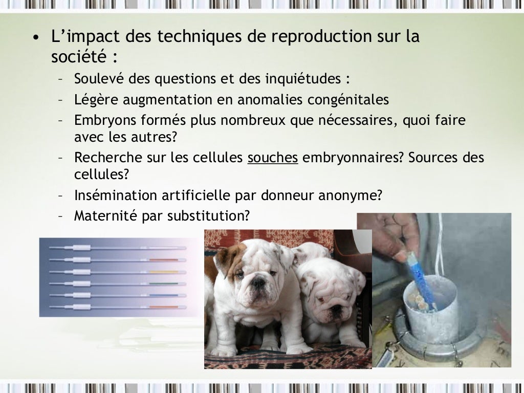 Contrôle Svt 5ème Reproduction Sexuée Et Asexuée