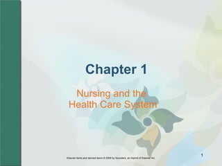 Chapter 1 Nursing and the  Health Care System 