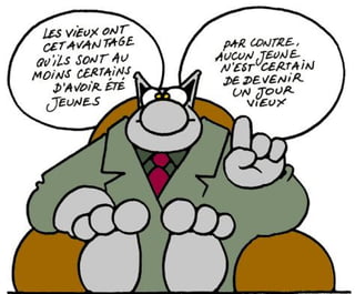Le Chat Le Chat