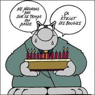 Le Chat Le Chat