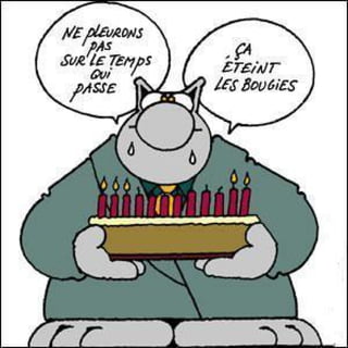 Le Chat