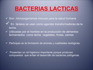 BACTERIAS LACTICAS Son  microorganismos inocuos para la salud humana En  lácteos se usan como agentes transformadoras de la leche.  Utilizadas por el hombre en la producción de alimentos fermentados  como leche, vegetales, frutas, carnes Participan en la formación de aromas y cualidades reológicas. Presentan un rol higiénico importante porque producen compuestos  que evitan el desarrollo de bacterias patógenas.  