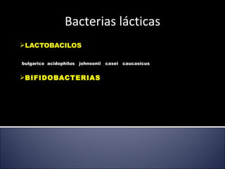 LACTOBACILOS bulgarico  acidophilus  johnsonii  casei  caucasicus BIFIDOBACTERIAS Bacterias lácticas 