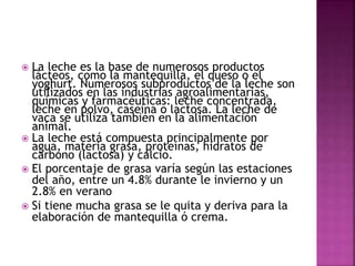  La leche es la base de numerosos productos
lácteos, como la mantequilla, el queso o el
yoghurt. Numerosos subproductos de la leche son
utilizados en las industrias agroalimentarias,
químicas y farmacéuticas: leche concentrada,
leche en polvo, caseína o lactosa. La leche de
vaca se utiliza también en la alimentación
animal.
 La leche está compuesta principalmente por
agua, materia grasa, proteínas, hidratos de
carbono (lactosa) y calcio.
 El porcentaje de grasa varía según las estaciones
del año, entre un 4.8% durante le invierno y un
2.8% en verano
 Si tiene mucha grasa se le quita y deriva para la
elaboración de mantequilla ó crema.
 