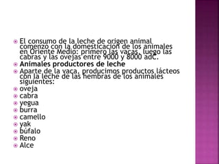  El consumo de la leche de origen animal
comenzó con la domesticación de los animales
en Oriente Medio: primero las vacas, luego las
cabras y las ovejas entre 9000 y 8000 adC.
 Animales productores de leche
 Aparte de la vaca, producimos productos lácteos
con la leche de las hembras de los animales
siguientes:
 oveja
 cabra
 yegua
 burra
 camello
 yak
 búfalo
 Reno
 Alce
 