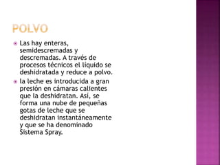  Las hay enteras,
semidescremadas y
descremadas. A través de
procesos técnicos el líquido se
deshidratada y reduce a polvo.
 la leche es introducida a gran
presión en cámaras calientes
que la deshidratan. Así, se
forma una nube de pequeñas
gotas de leche que se
deshidratan instantáneamente
y que se ha denominado
Sistema Spray.
 