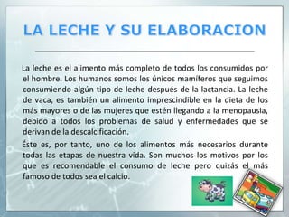LA LECHE Y SU ELABORACIONLa leche es el alimento más completo de todos los consumidos por el hombre. Los humanos somos los únicos mamíferos que seguimos consumiendo algún tipo de leche después de la lactancia. La leche de vaca, es también un alimento imprescindible en la dieta de los más mayores o de las mujeres que estén llegando a la menopausia, debido a todos los problemas de salud y enfermedades que se derivan de la descalcificación.     Éste es, por tanto, uno de los alimentos más necesarios durante todas las etapas de nuestra vida. Son muchos los motivos por los que es recomendable el consumo de leche pero quizás el más famoso de todos sea el calcio. 