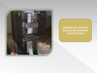 LLENADO DE LECHE EN
BOLSAS DE ALUMINIO
   PLASTIFICADAS
 