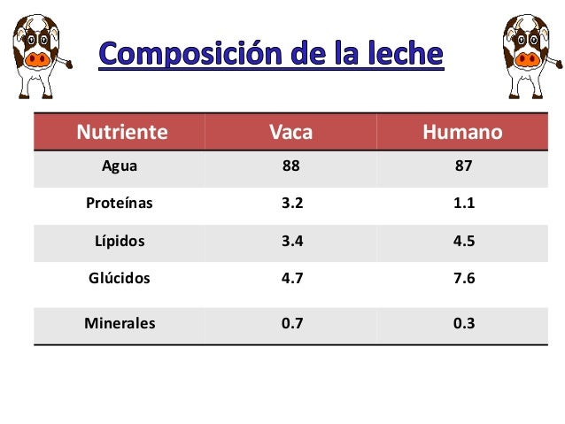 Composición de la Leche