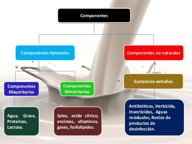 Composición de la Leche