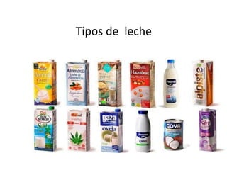 Tipos de leche
 