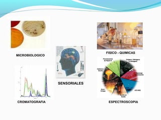 PRUEBAS
MICROBIOLOGICO
SENSORIALES
FISICO - QUIMICAS
CROMATOGRAFIA ESPECTROSCOPIA
 
